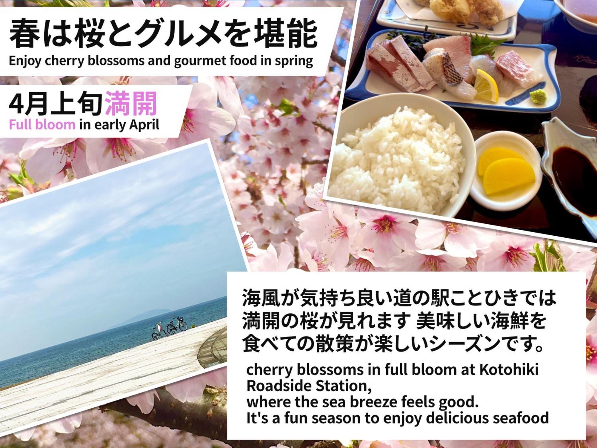 Guesthouse紫雲 Kanonji エクステリア 写真